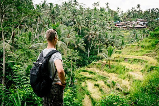 Ubud Small Group Tour: Monkey Forest, Tegalalang Rice Terraces and more - Tirta Empul: the most thoughtful cultural stop