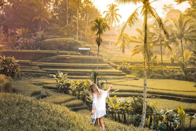 UBUD Spring Temple, Waterfall, Rice Terraces Private Tour - What the private format really changes