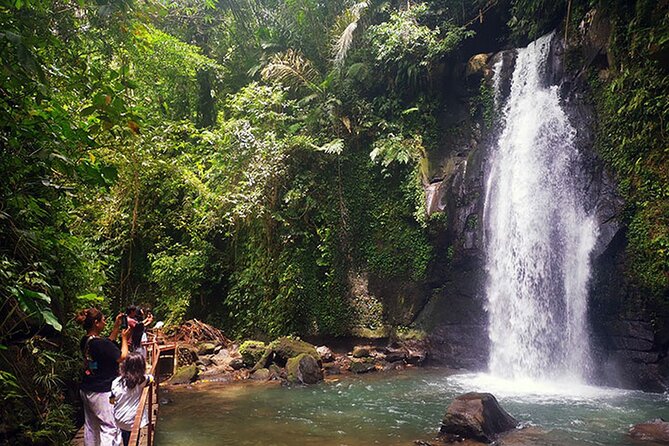 UBUD Spring Temple, Waterfall, Rice Terraces Private Tour - Tegalalang Rice Terrace in a 45-minute window