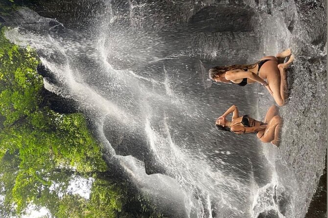 Ubud Surounding Tour - What the private driver adds