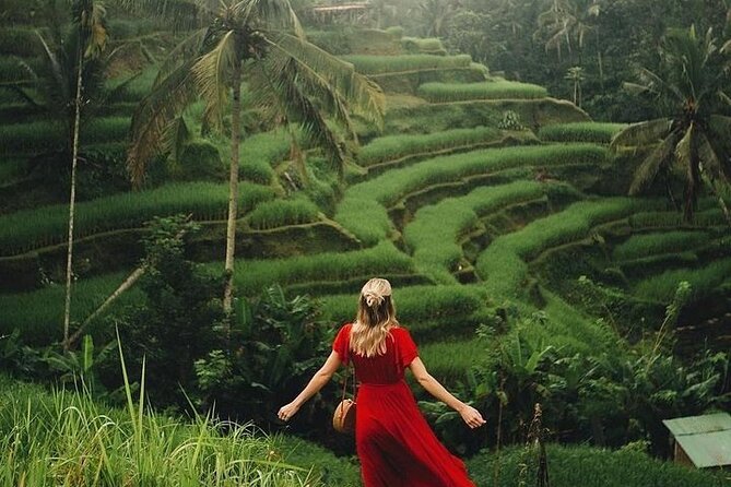 Ubud: Swing - Monkey Forest - Waterfall - Temple - Rice Terraces - Art Crafts - What the $33 price really buys you