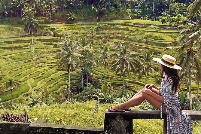 Ubud: Swing - Monkey Forest - Waterfall - Temple - Rice Terraces - Art Crafts - The My Swing Bali photo stop
