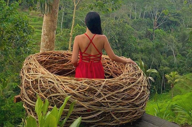 Ubud: Swing - Monkey Forest - Waterfall - Temple - Rice Terraces - Art Crafts - Why the private guide matters more than the route