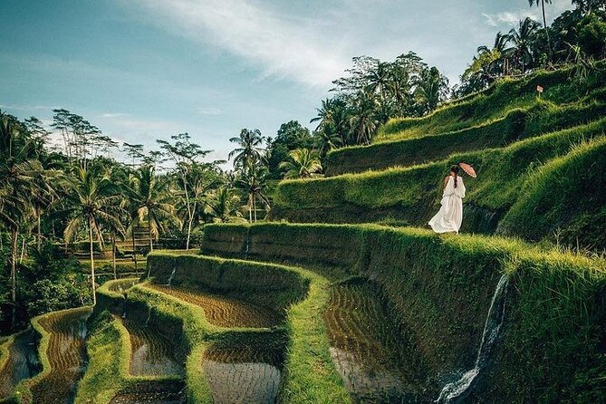 Ubud: Swing - Monkey Forest - Waterfall - Temple - Rice Terraces - Art Crafts - Leaving the coast for Tegenungan Waterfall