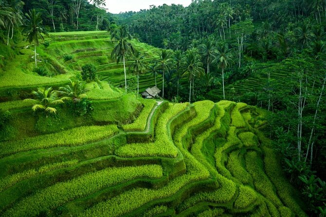 UBUD : Temple and Waterfall All Inclusive Day Tour - What this Ubud day tour actually covers