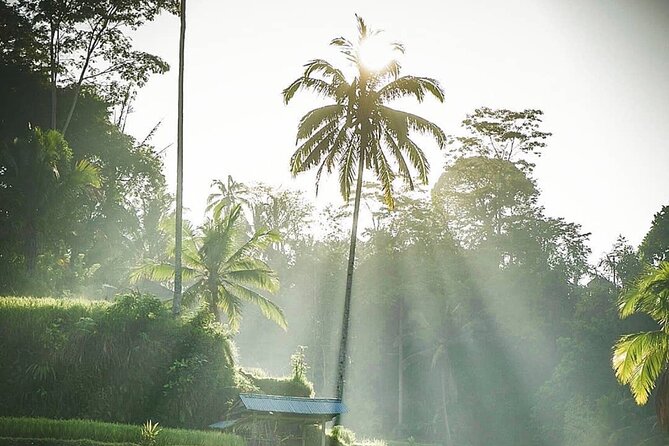 Ubud Temples, Waterfalls, Rice Terraces & Balinese Culture - Guides who make the difference