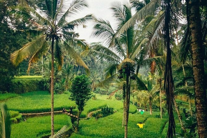Ubud Temples, Waterfalls, Rice Terraces & Balinese Culture - Who should book this Ubud experience?
