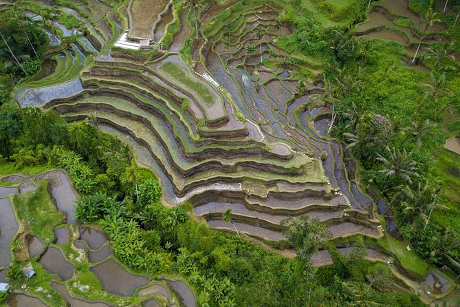 Ubud Top Attractions: Waterfalls, Temples and Rice Terraces - D’Alas Swing: a big photo stop over the valley