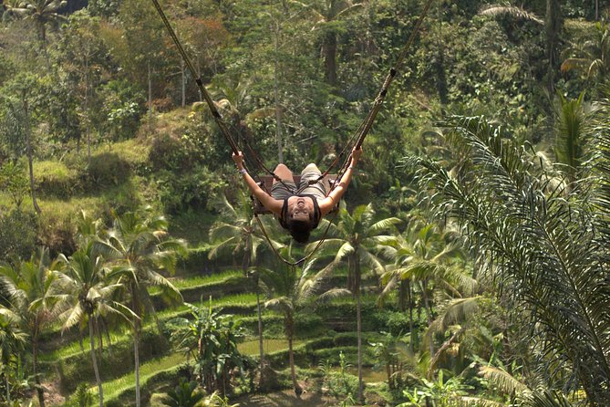 Ubud Top Attractions: Waterfalls, Temples and Rice Terraces - Driving time and crowd strategy