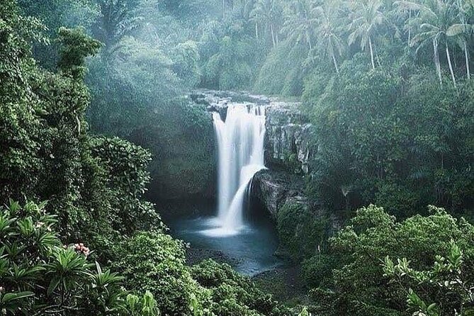 Ubud Top Tours to Discover Bali’s Cultural and Natural Wonders - Stop 5: Tirta Empul Temple and its holy springs