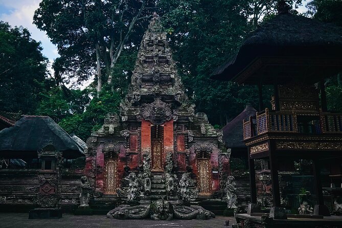 Ubud Top Tours to Discover Bali’s Cultural and Natural Wonders - The drivers make or break a Bali day