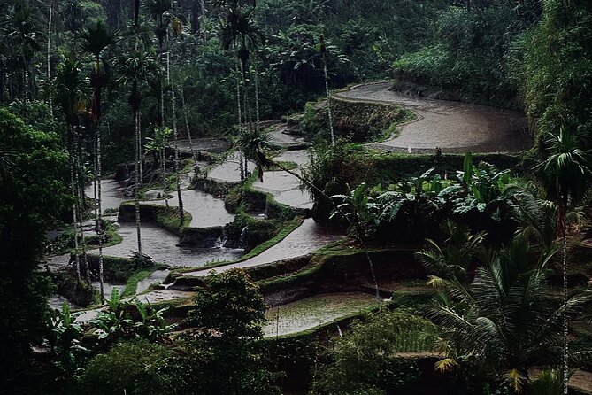 Ubud Top Tours to Discover Bali’s Cultural and Natural Wonders - Timing, traffic, and the real pace of the day