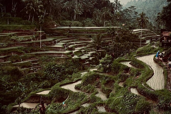 Ubud Top Tours to Discover Bali’s Cultural and Natural Wonders - Stop 2: Ulu Petanu Waterfall after the house