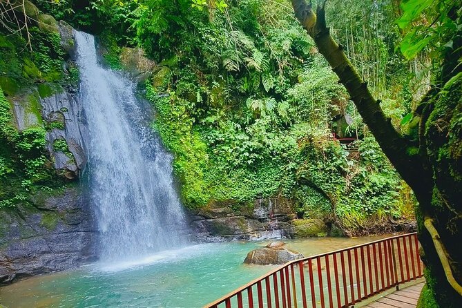 Ubud Top Waterfall and swing in tegallalang - Who will enjoy this half-day outing