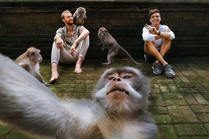 Ubud Tour-All Inclusive with Jungle Swing And Lunch - What This Ubud Day Tour Is Really Like