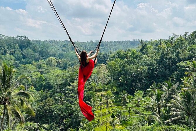 Ubud Tour-All Inclusive with Jungle Swing And Lunch - The Happy Swing Photo Stop