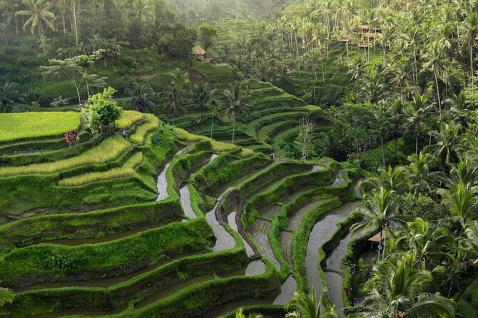 Ubud Tour-All Inclusive with Jungle Swing And Lunch - Celuk Village and the Working Craft Tradition
