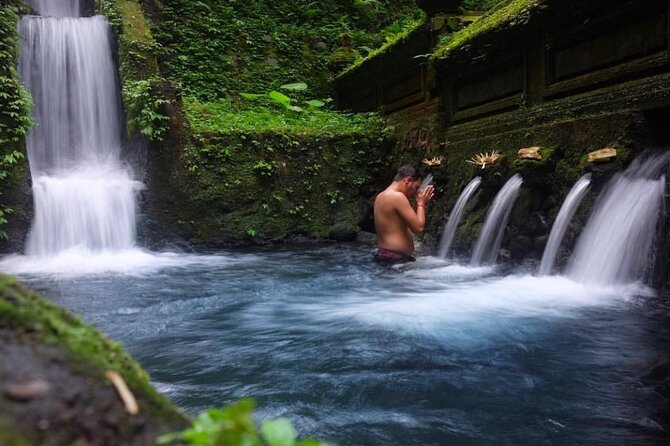 Ubud Tour - Balinese Healing By Shaman And Self Purification - What the Balinese healing session involves