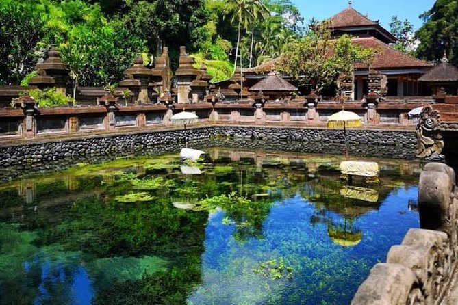 Ubud Tour : Best of Ubud with All inclusive - What the guides add to the experience