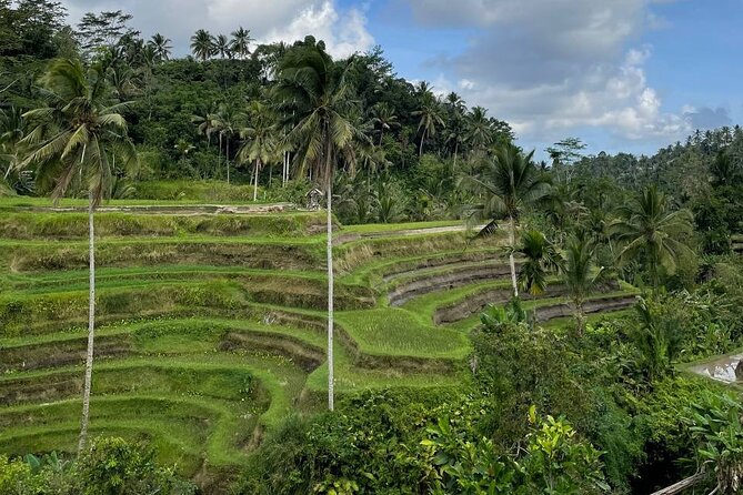 Ubud Tour - Highlight of Ubud - Traditional Tour - Tegenungan Waterfall: Nature With a Time Cost
