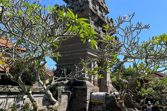 Ubud Tour - Highlight of Ubud - Traditional Tour - Tirta Empul Temple: Ending With Sacred Water