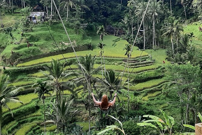 Ubud Tour - Highlights of Ubud - Kumulilir coffee plantation: a short tasting break