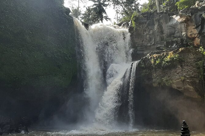 Ubud Tour - Highlights of Ubud - Lunch at D Alas Warung, with rice terraces beside the table