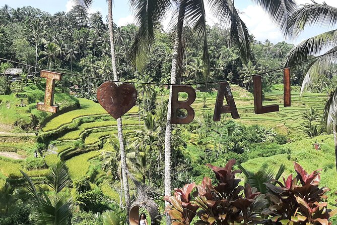 Ubud Tour - Highlights of Ubud - Sacred Monkey Forest Sanctuary: Ubud’s most playful final stop