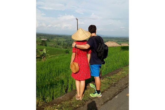 Ubud Tour Monkey Forest, Rice Terrace, Swing, Temple, Waterfall - What the $60 group price really gives you