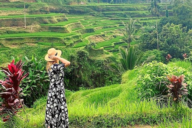 Ubud Tour - Ubud Highlight - Private Tour All inclusive - Tegenungan Waterfall starts the day with a short burst of nature
