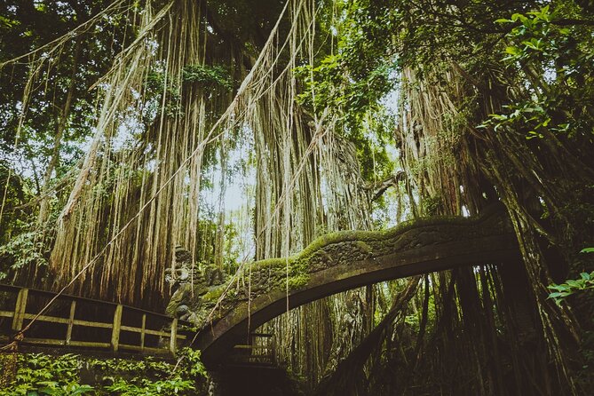 Ubud Tour Waterfall Rice Terrace Temple and Art Village - Ubud Jungle Swing: photographs with a thrill