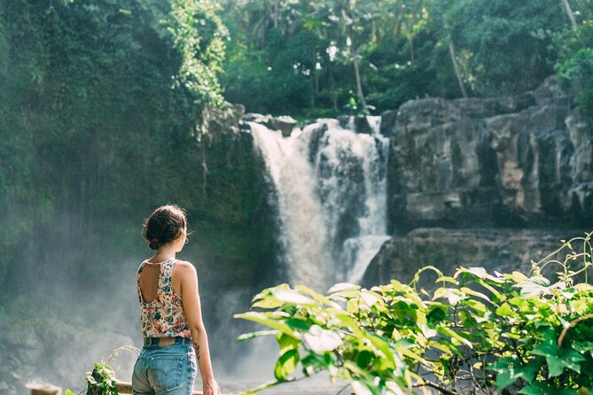 Ubud Tour Waterfall Rice Terrace Temple and Art Village - The missing art village detail
