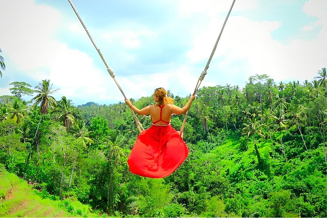 Ubud Tour with Jungle Swing and Waterfall Water Temple - Tegalalang Rice Terrace and the shape of Bali