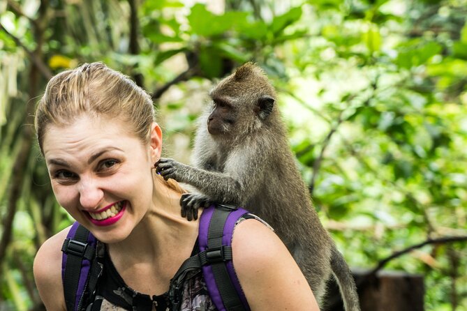 Ubud Tour with Swing, Temple, Monkey Forest, and Waterfall - Sacred Monkey Forest: one hour among macaques and temples