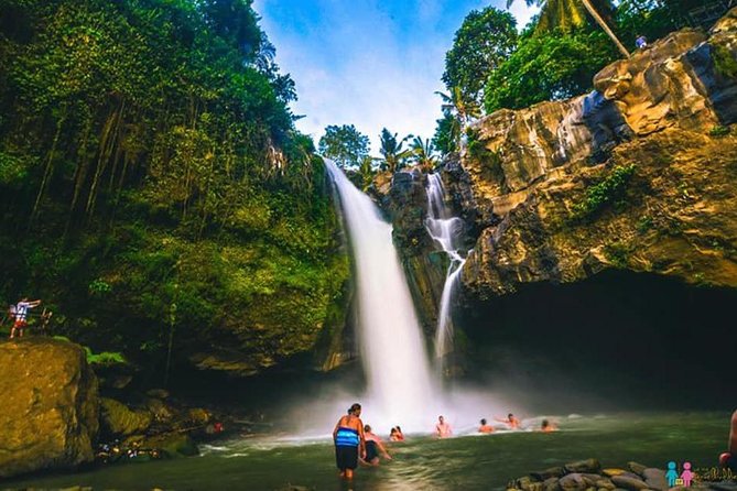 Ubud Trip, The Best of Ubud in a day - All Inclusive - Tirta Empul and Bali’s holy water
