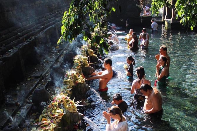 Ubud Trip, The Best of Ubud in a day - All Inclusive - Tegalalang Rice Terrace and Bali’s farming tradition