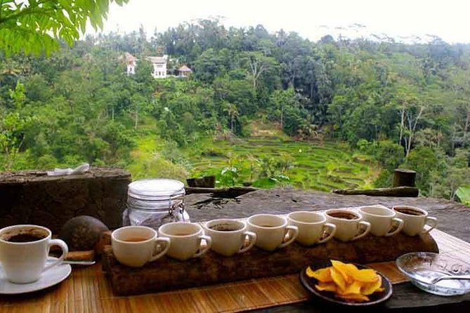 Ubud Trip, The Best of Ubud in a day - All Inclusive - Tegenungan Waterfall for a final change of pace