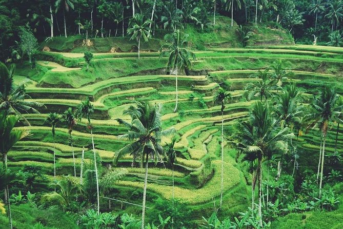 Ubud Trip, The Best of Ubud in a day - All Inclusive - Celuk Village and traditional jewelry work