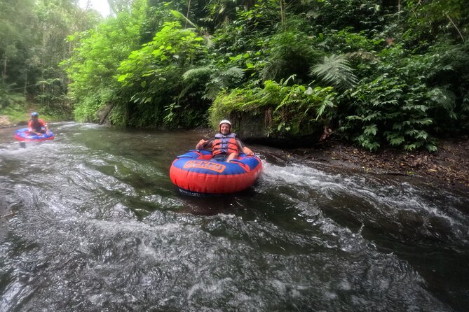 Ubud Tubing Adventure Holy Spring Temple Private Guided Tour - What the private format really adds
