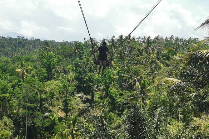 Ubud Village, Tegalalang Rice Terrace Swing, Tirta Empul Temple and Waterfafall - A full day from Seminyak into central Bali