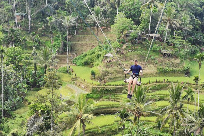 Ubud Village, Tegalalang Rice Terrace Swing, Tirta Empul Temple and Waterfafall - Tirta Empul’s holy spring pools