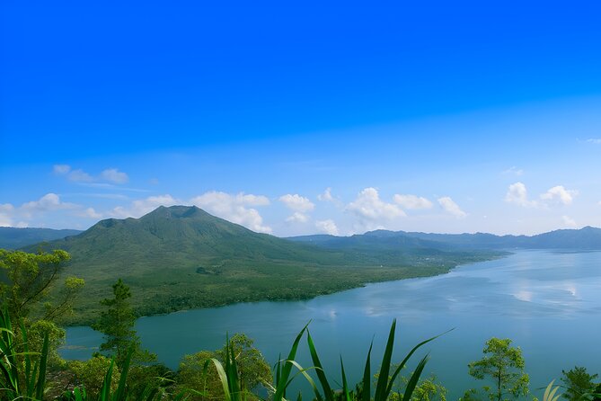 Ubud Village, Waterfall and Kintamani Volcano Tour - Monkey Forest brings wildlife into central Ubud