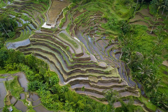 Ubud Volcano Lake and Natural Hot Spring Tour - Is $35 good value?