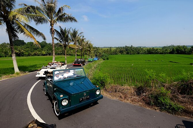 Ubud VW Safari Bali Tour - Volkswagen Classic Car Trip - Key points before you book
