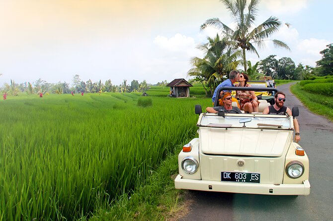 Ubud VW Safari Bali Tour - Volkswagen Classic Car Trip - A nine to ten-hour day with room to adjust