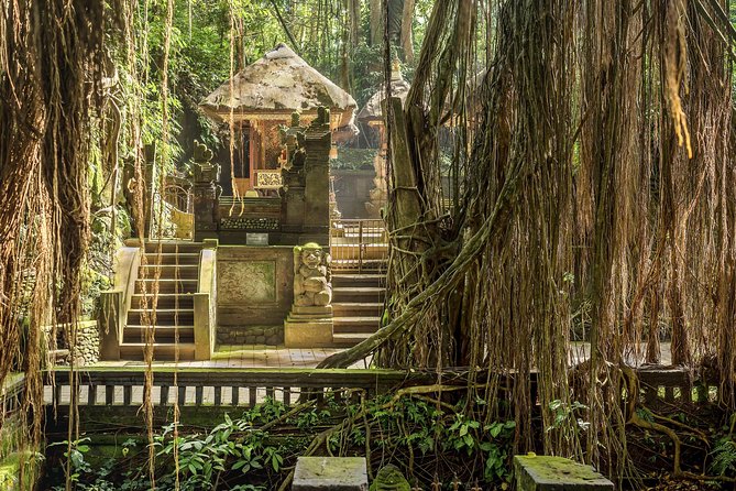 Ubud: Waterfall, Rice Terraces, and Monkey Forest Private Tour - Lunch and the practical value of private transport