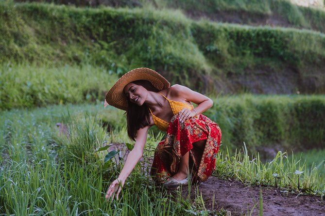 Ubud: Waterfall, Rice Terraces, and Monkey Forest Private Tour - Tegalalang Rice Terraces and the subak system