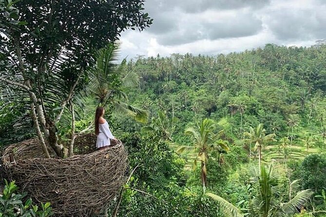 Ubud waterfall, rice terraces, and swing explore - The jungle swing: the big thrill, with a clear extra charge