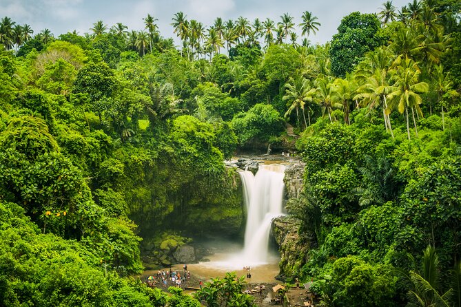 Ubud waterfall, rice terraces, and swing explore - Private transport is the quiet advantage