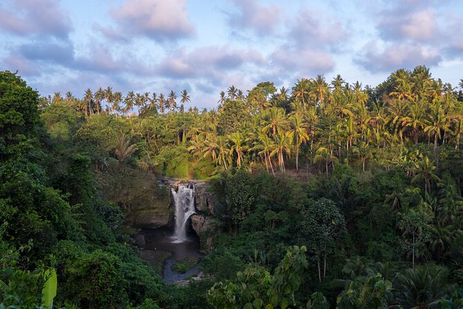 Ubud waterfall, rice terraces, and swing explore - Who will enjoy this Ubud outing most?